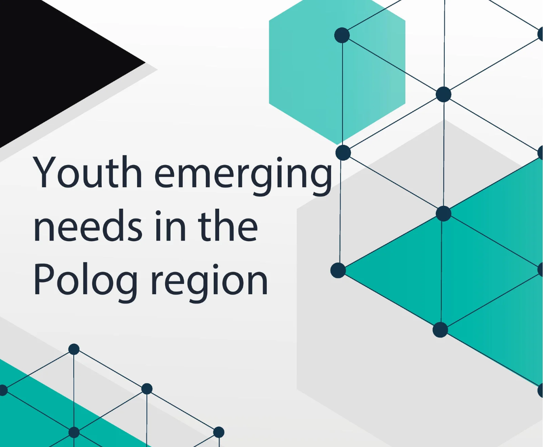 Youth emerging needs in the Polog region